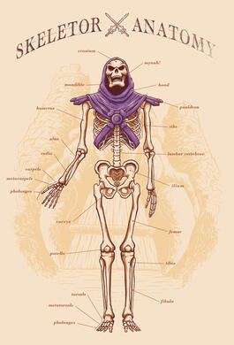 Skeletor Anatomy